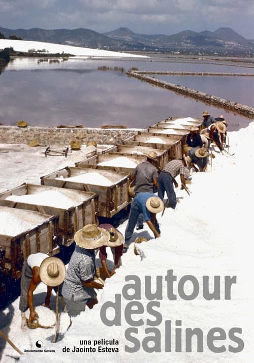 Poster for Autour des Salines