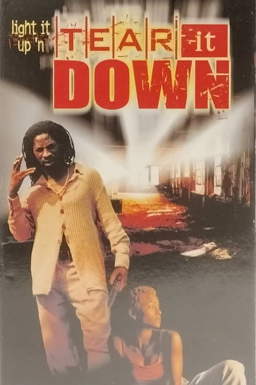 Poster for Tear It Down