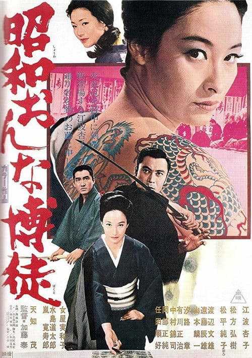 Poster for Modern Lady Gambler