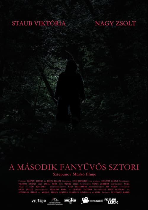 Poster for Sasquatch Story No.2