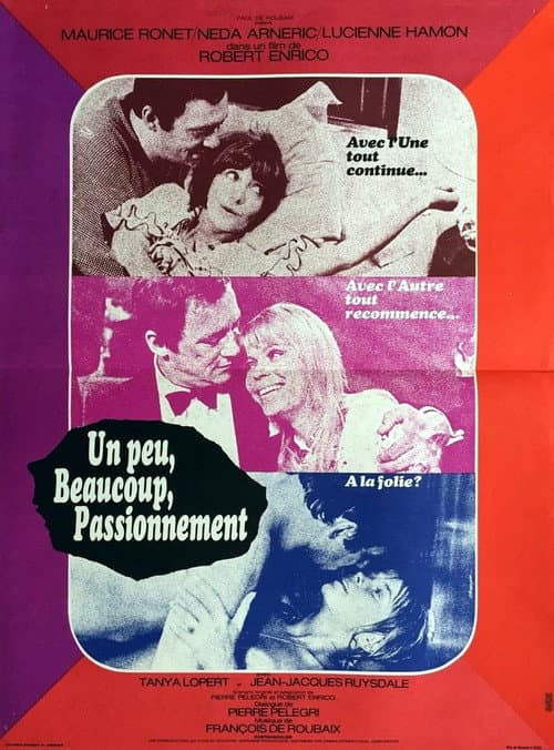 Poster for A Little, a Lot, Passionately