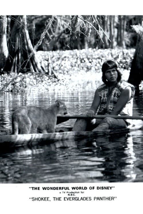 Poster for Shokee, the Everglades Panther