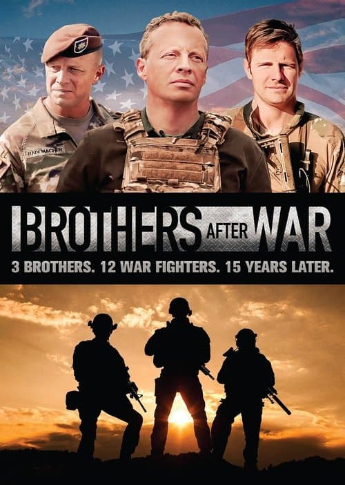 Poster for Brothers After War