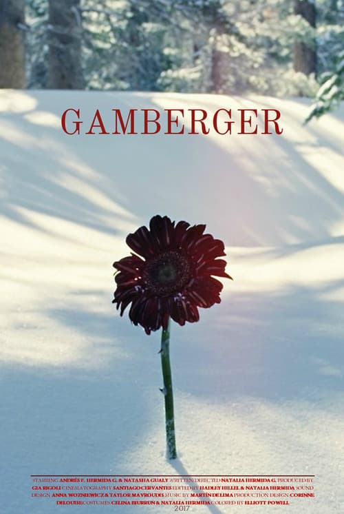 Poster for Gamberger