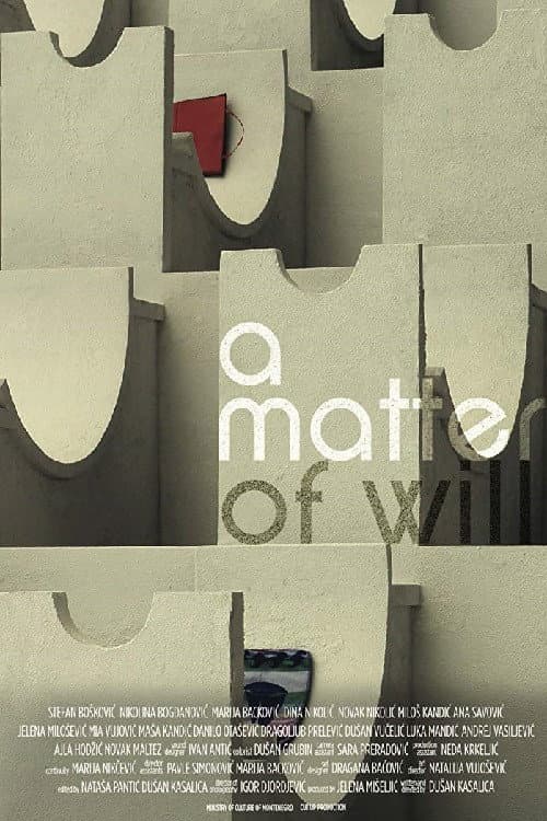 Poster for A Matter of Will