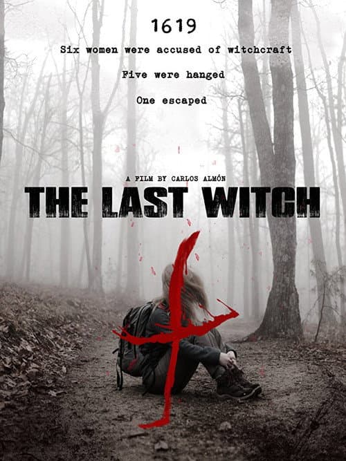 Poster for The Last Witch