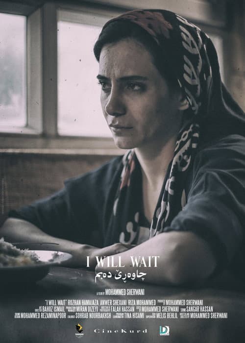 Poster for I Will Wait