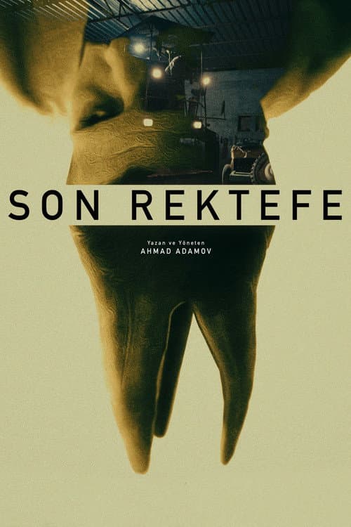 Poster for Final Repair
