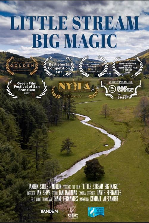 Poster for Little Stream, Big Magic