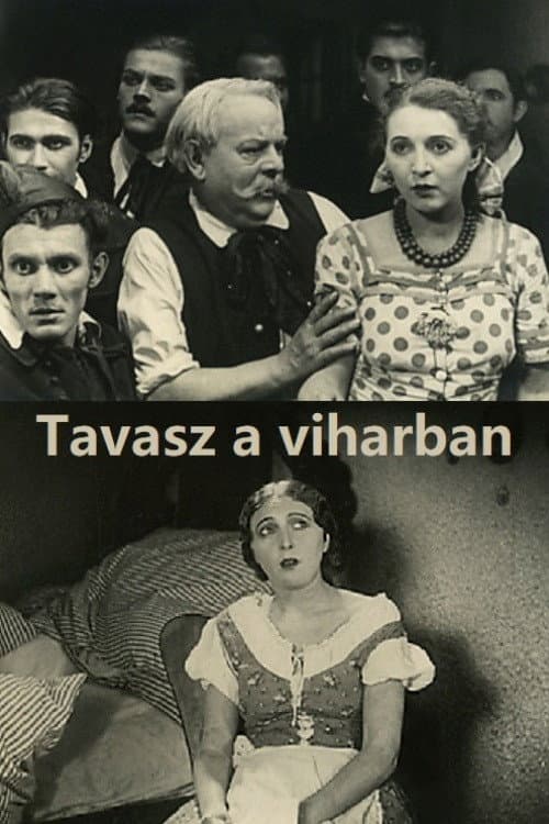 Poster for Tavasz a viharban