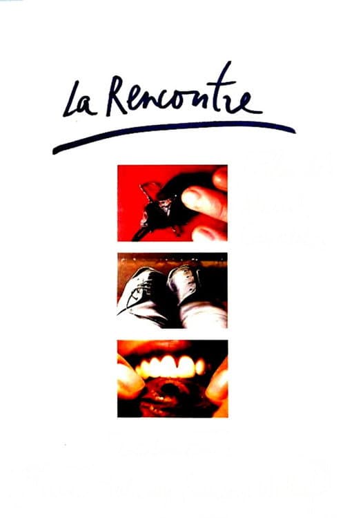Poster for The Encounter