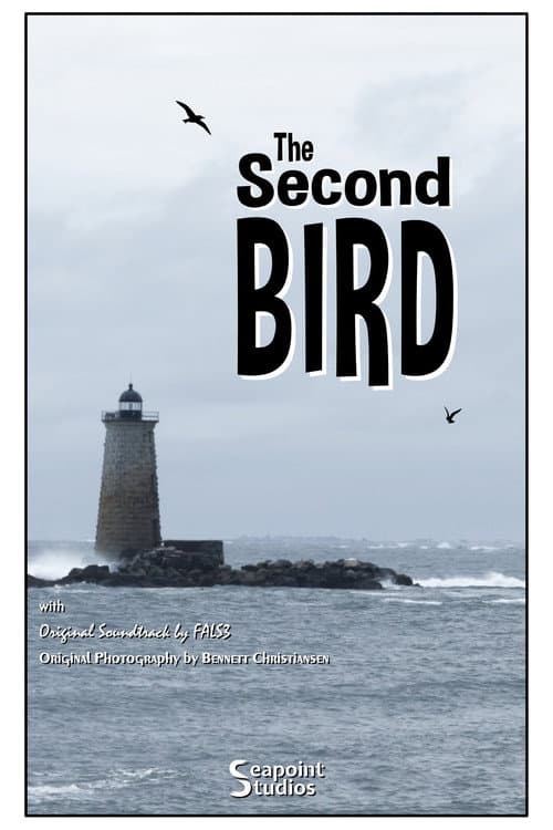 Poster for The Second Bird