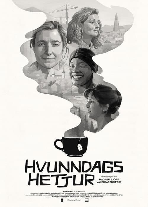 Poster for Are You Icelandic?
