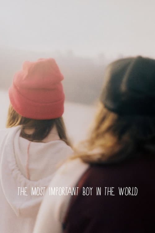 Poster for The Most Important Boy in the World