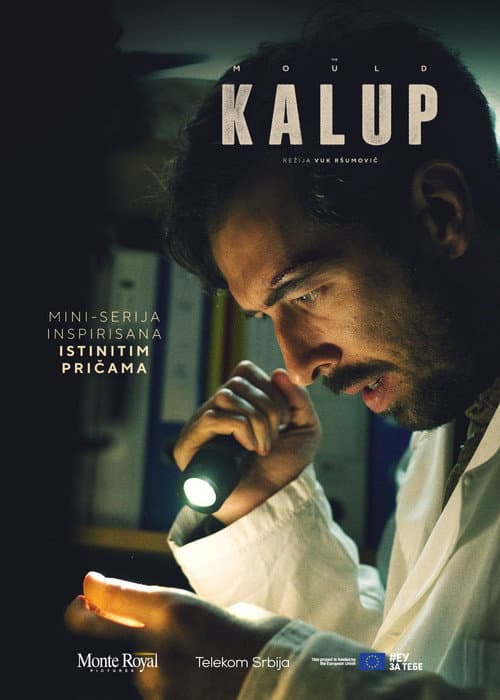 Poster for The Mould