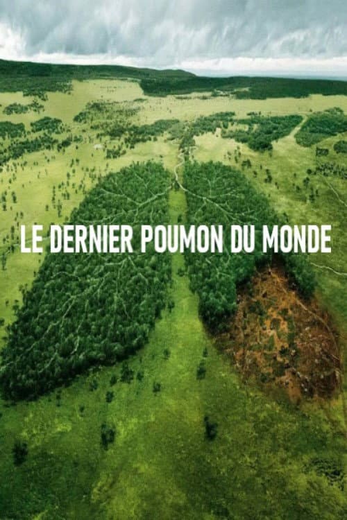 Poster for Le dernier poumon du monde