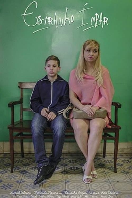 Poster for Odd Stranger
