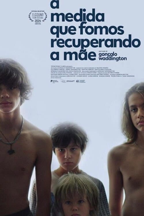 Poster for How We Got Mother Back