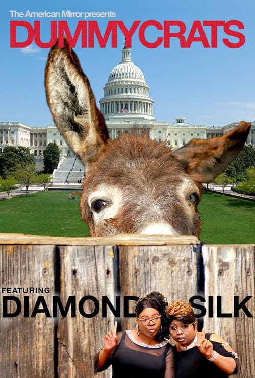 Poster for Dummycrats