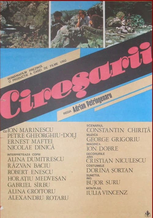 Poster for The Cherry Blossoms