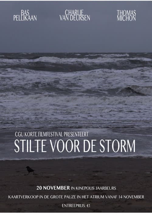 Poster for Stilte voor de Storm