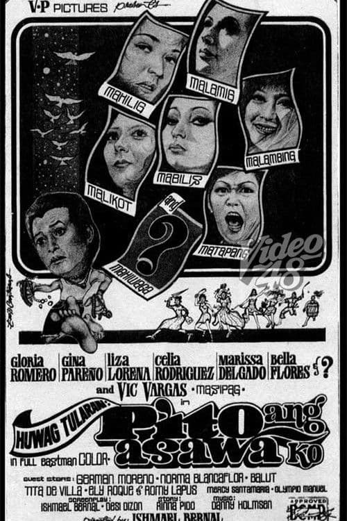 Poster for Bad Example: I Have Seven Wives