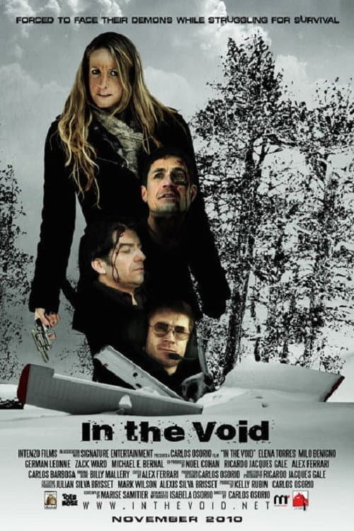 Poster for In the Void