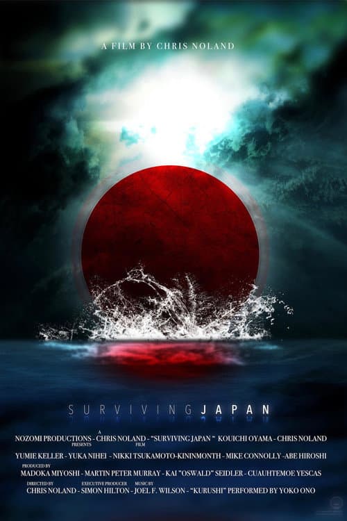 Poster for 3.11: Surviving Japan