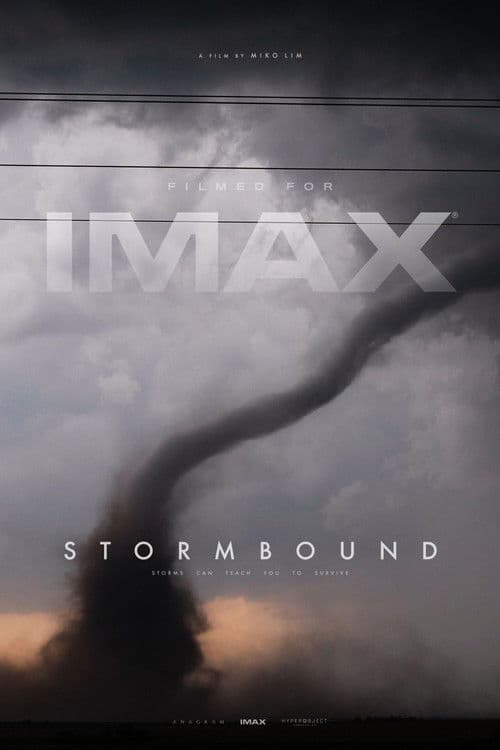 Poster for Stormbound