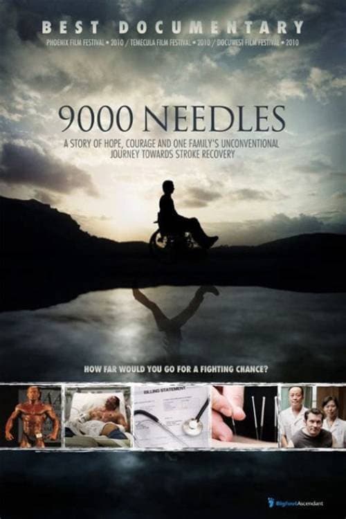 Poster for 9000 Needles