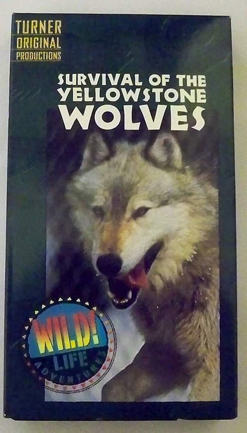 Poster for Survival of the Yellowstone Wolves
