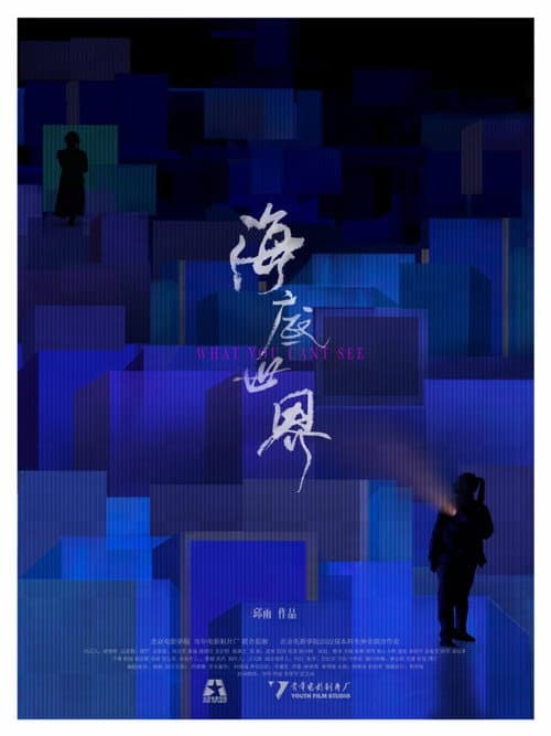 Poster for What You Can't See