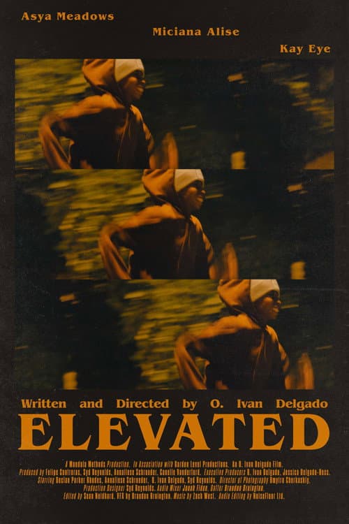 Poster for Elevated