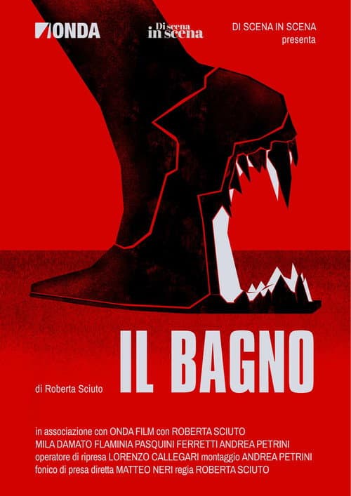 Poster for Il bagno