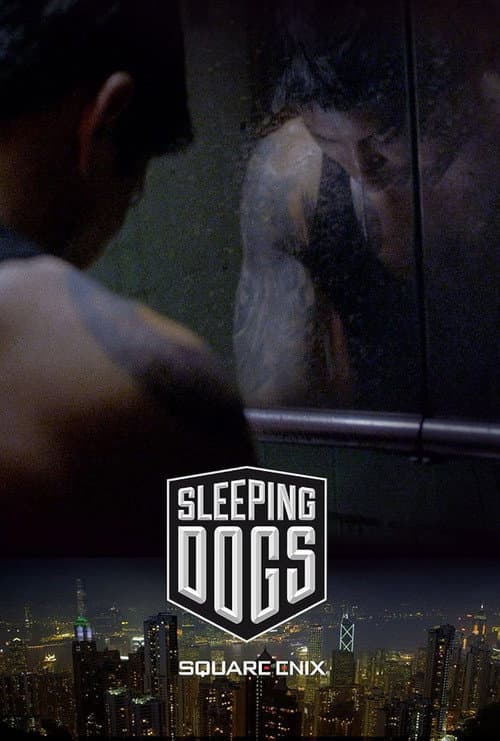 Poster for Sleeping Dogs