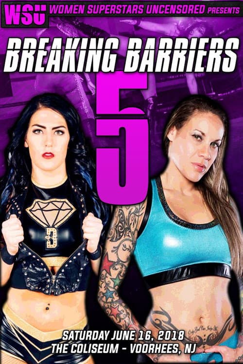 Poster for WSU Breaking Barriers 5