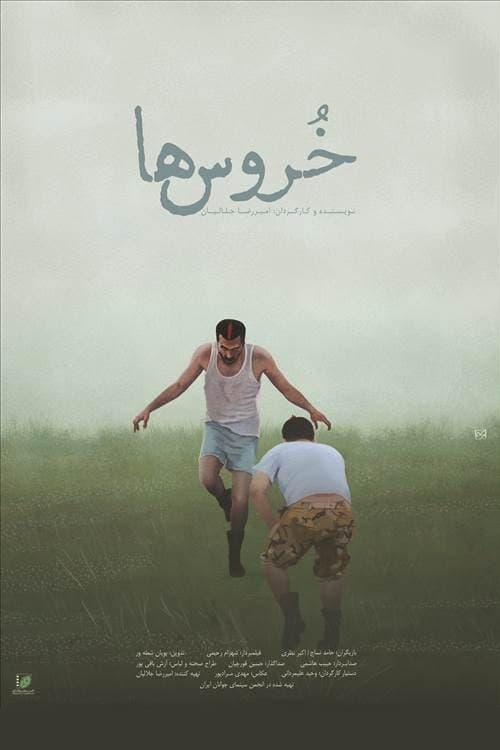 Poster for Cocks