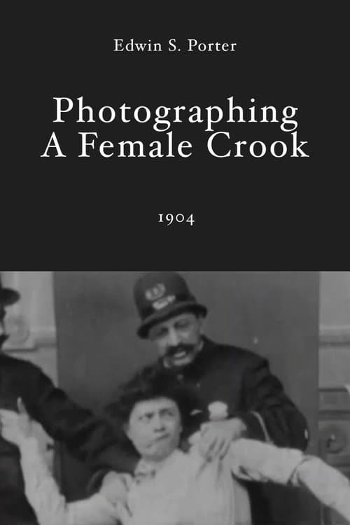 Poster for Photographing a Female Crook