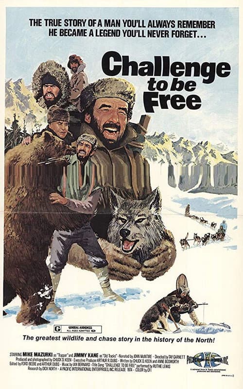 Poster for Challenge to be Free