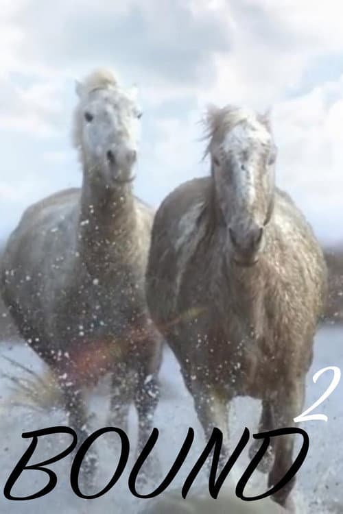 Poster for Bound 2