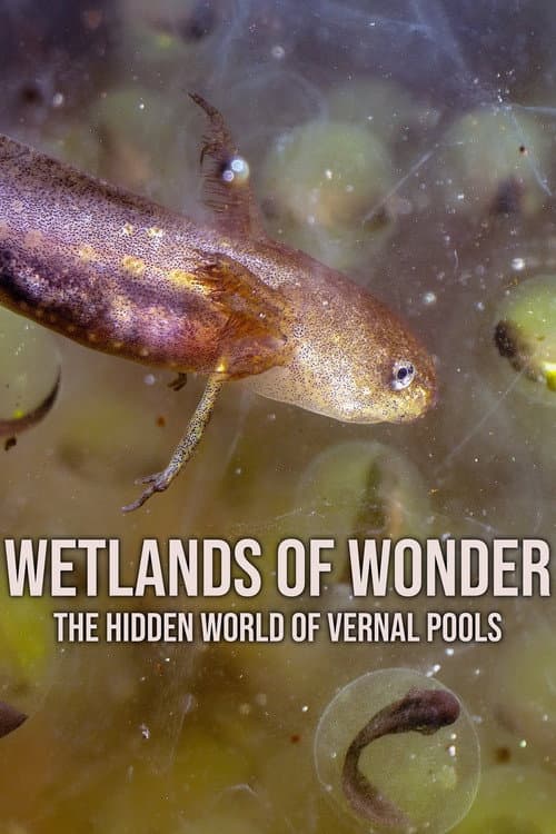 Poster for Wetlands of Wonder: The Hidden World of Vernal Pools