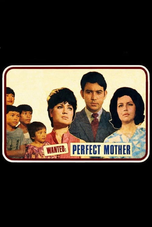 Poster for Wanted: Perfect Mother