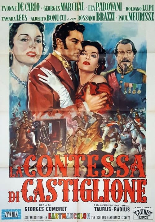 Постер до фільму «The Contessa's Secret»