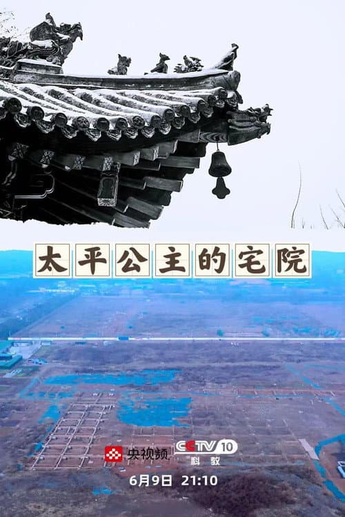 Poster for 探索发现:太平公主的宅院