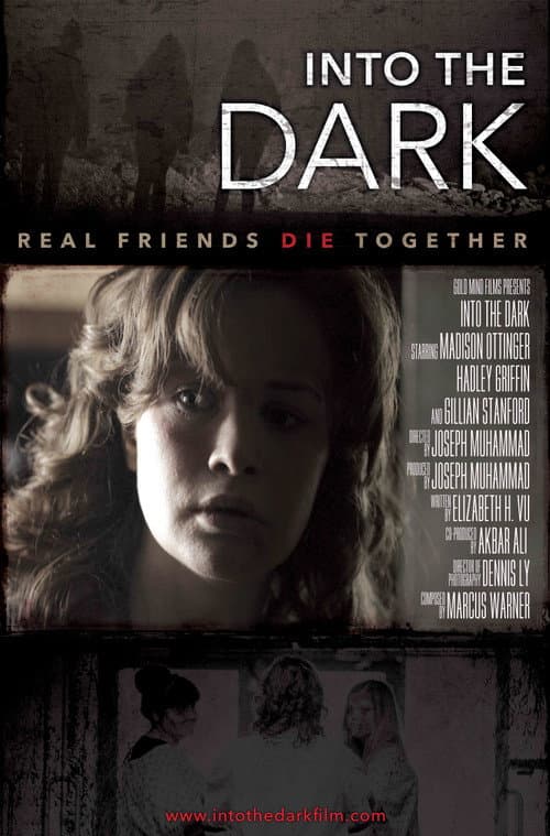 Poster for Into The Dark