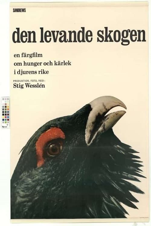 Poster for The Living Forest