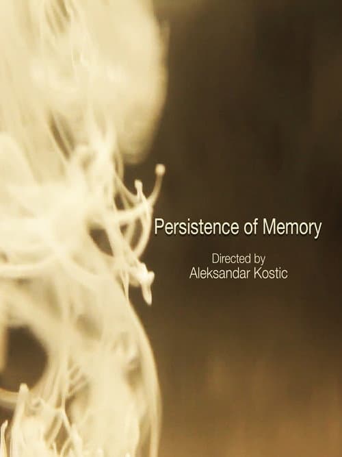 Poster for Persistence of Memory