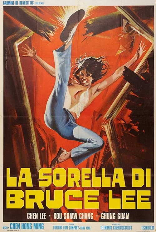Poster for Chiu Chow Kung Fu