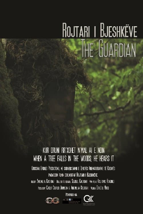 Poster for The Guardian