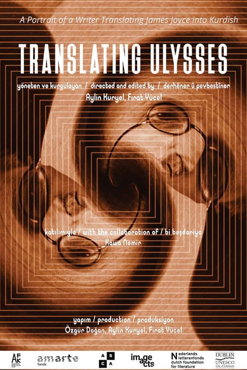 Poster for Translating Ulysses